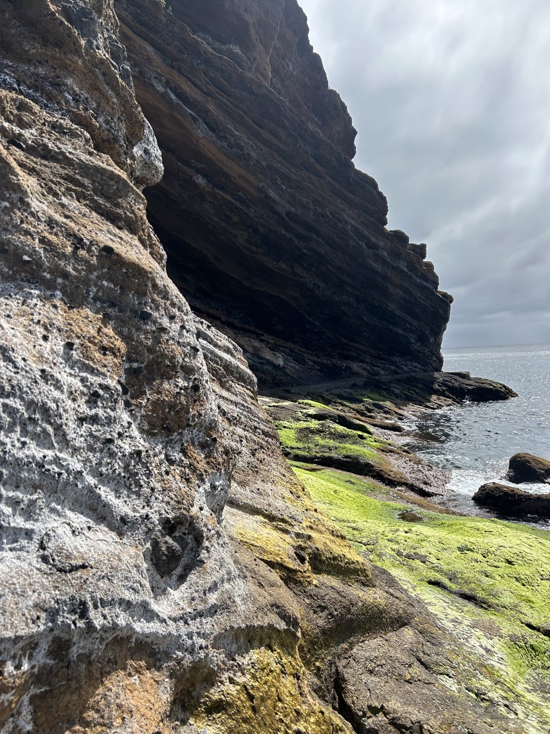 Sea cliff meeting the ocean, wild coastline in Madeira